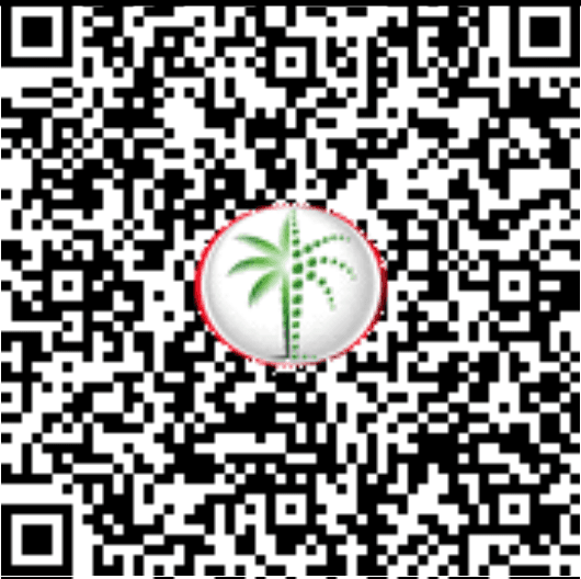 Trakheesi permit QR code for Twilight